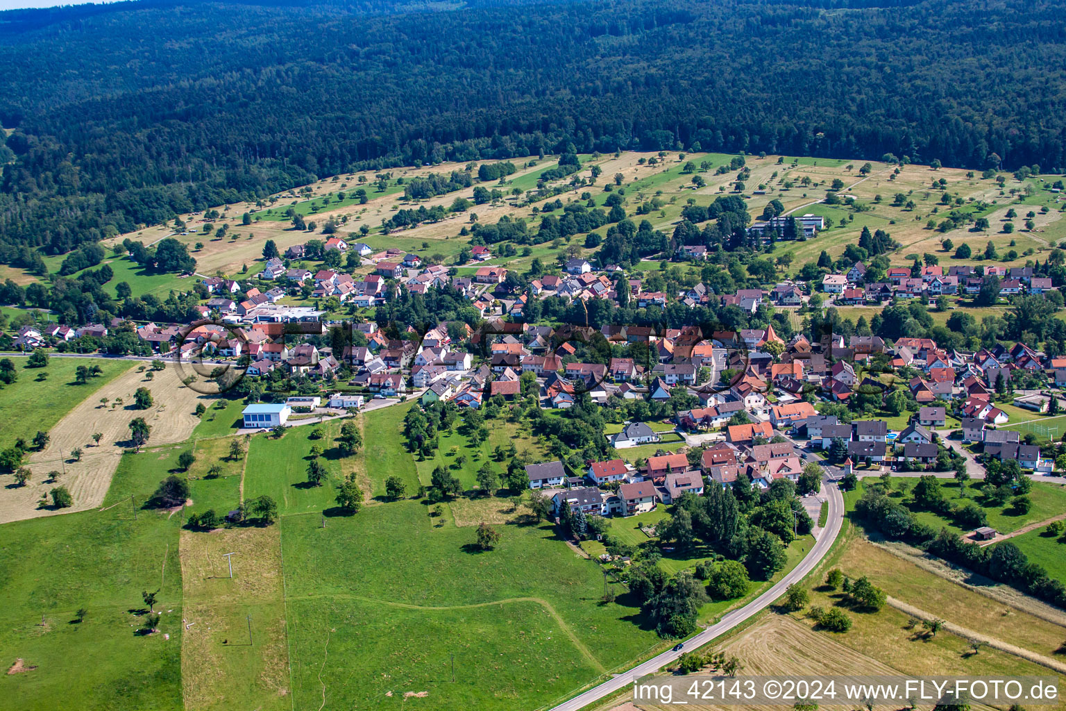 District Langenalb in Straubenhardt in the state Baden-Wuerttemberg, Germany from above