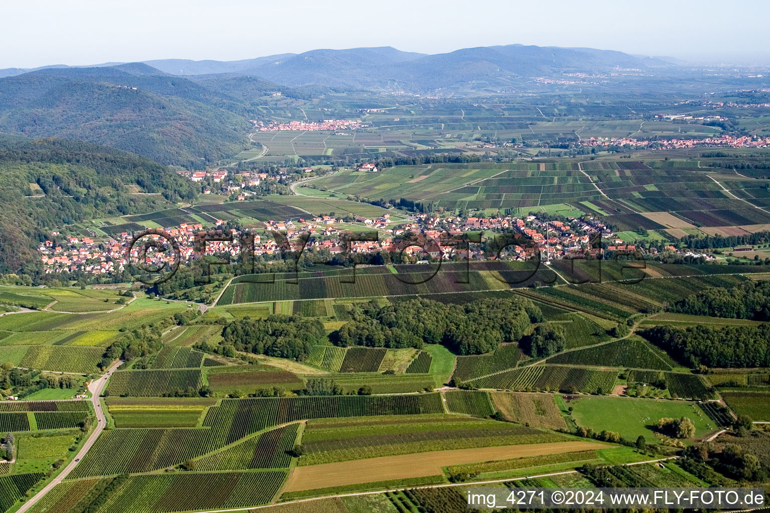 Klingenmünster in the state Rhineland-Palatinate, Germany seen from above