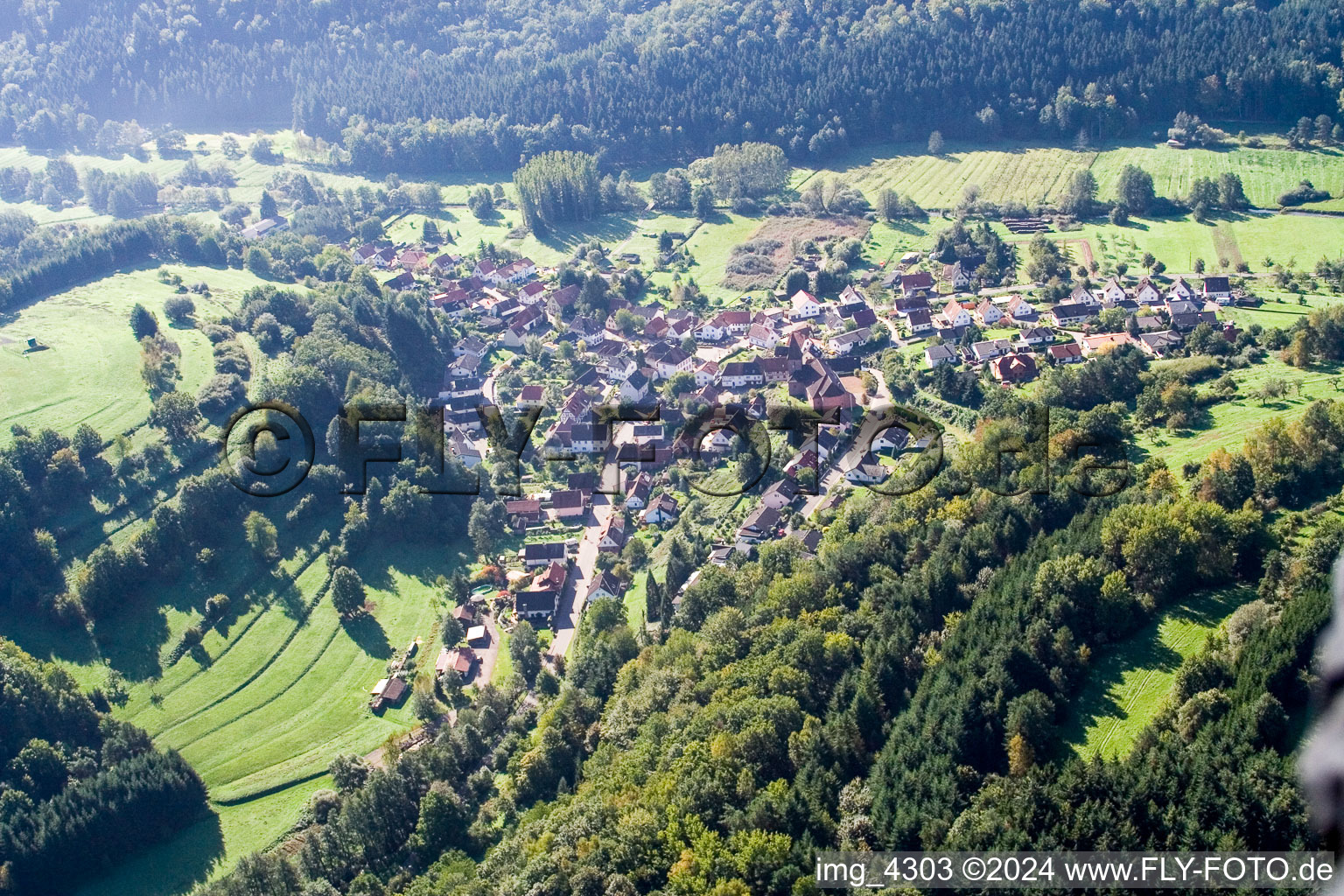 Niederschlettenbach in the state Rhineland-Palatinate, Germany out of the air