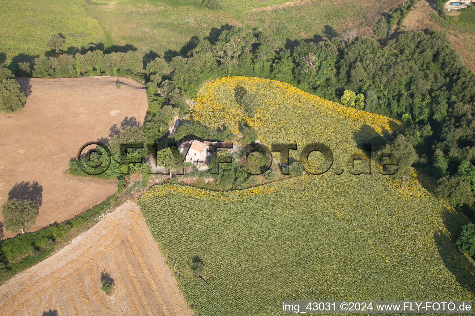 Aerial view of Fratte Rosa in the state Pesaro und Urbino, Italy