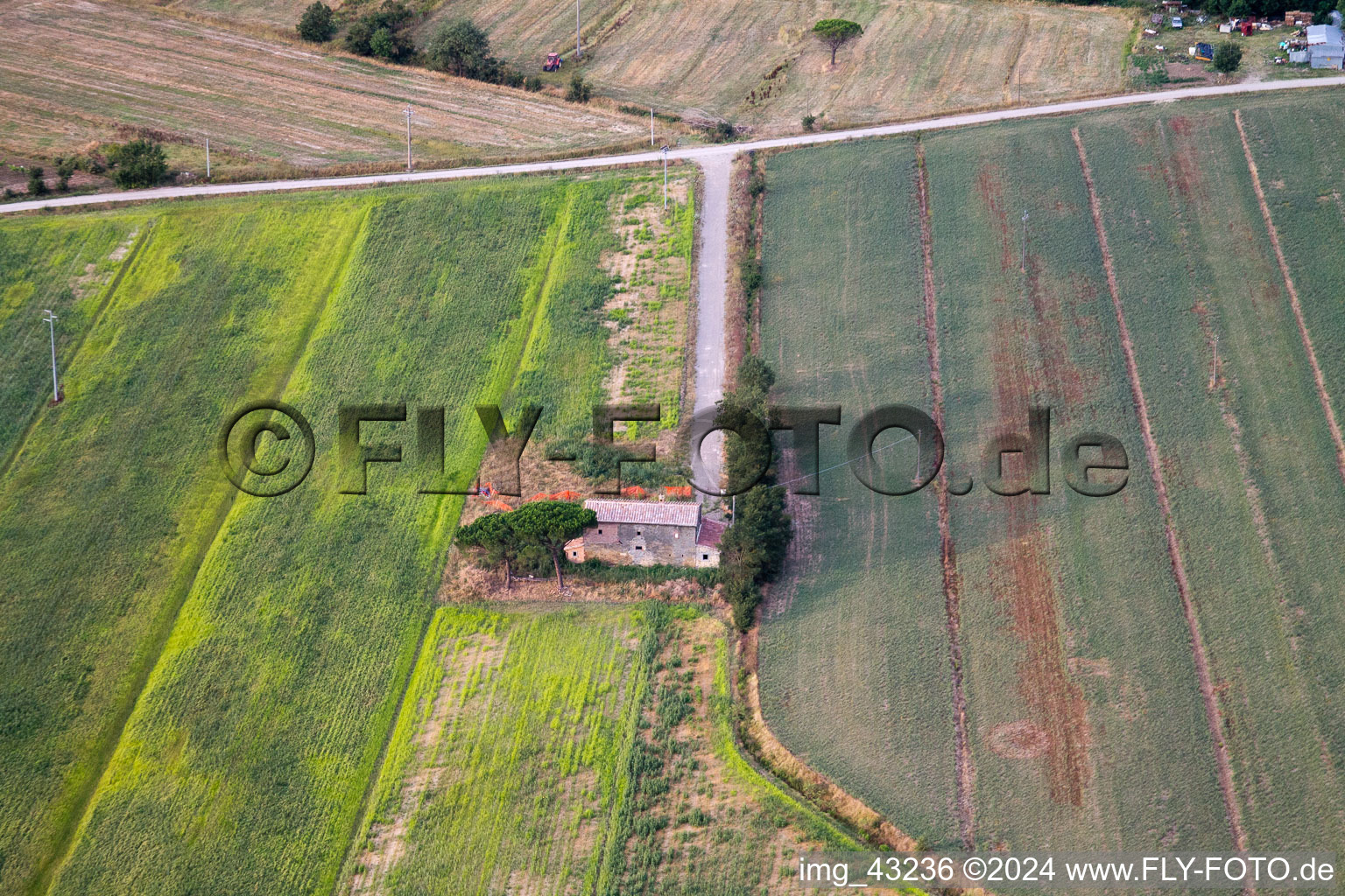 Riccio in the state Tuscany, Italy