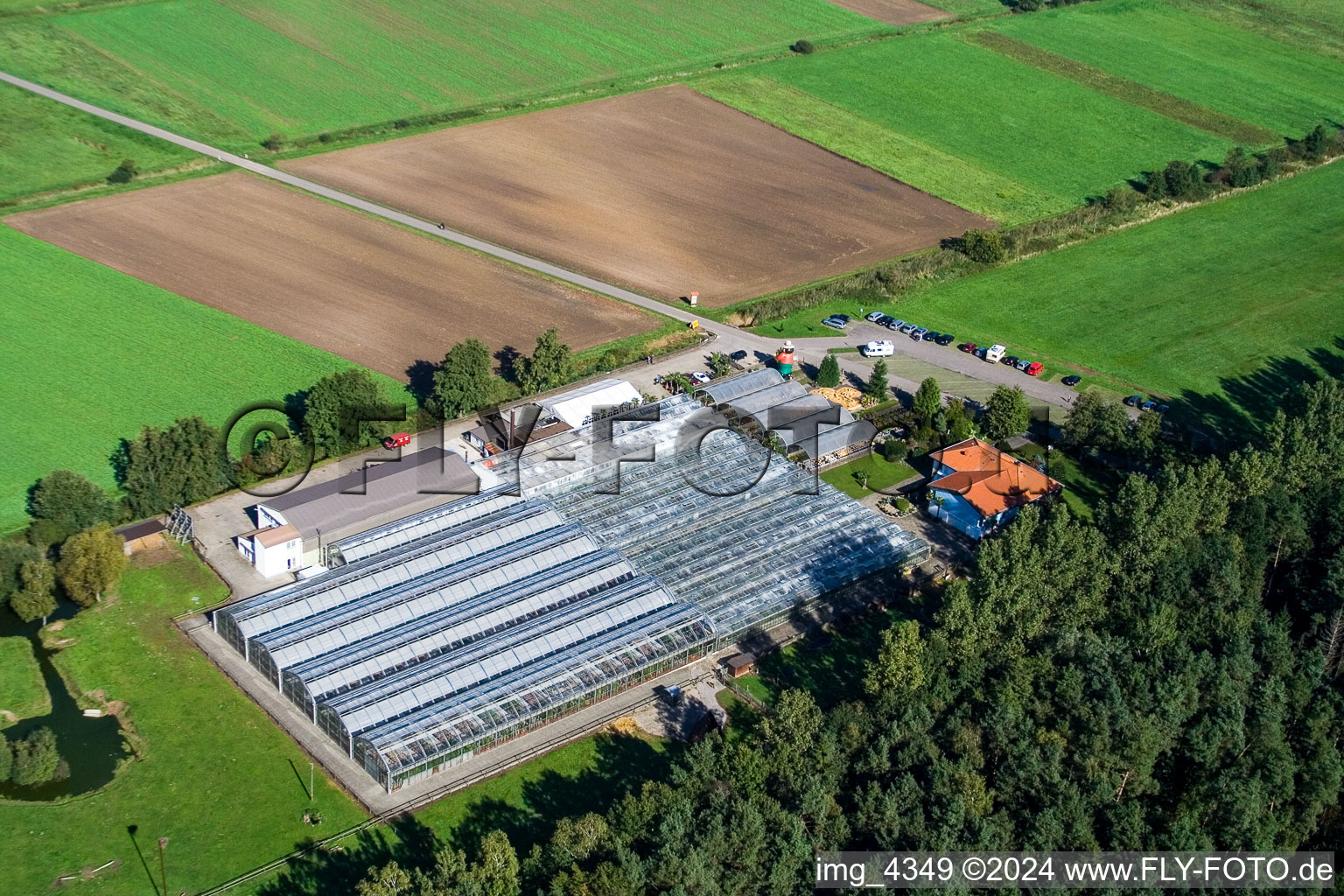 Oblique view of Cactusland in Steinfeld in the state Rhineland-Palatinate, Germany