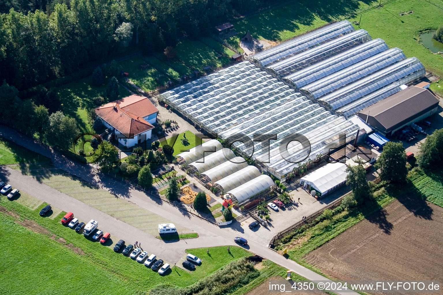 Cactusland in Steinfeld in the state Rhineland-Palatinate, Germany from above