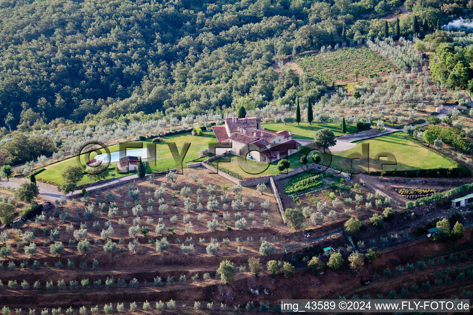 Il Bastardo in the state Tuscany, Italy