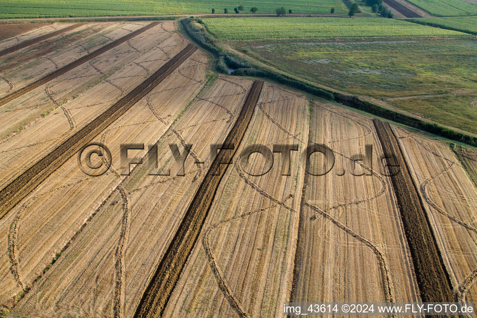 Harvested grain field structures Landscape on a grain field in Anatraia in Castiglion Fiorentino in the state Arezzo, Italy