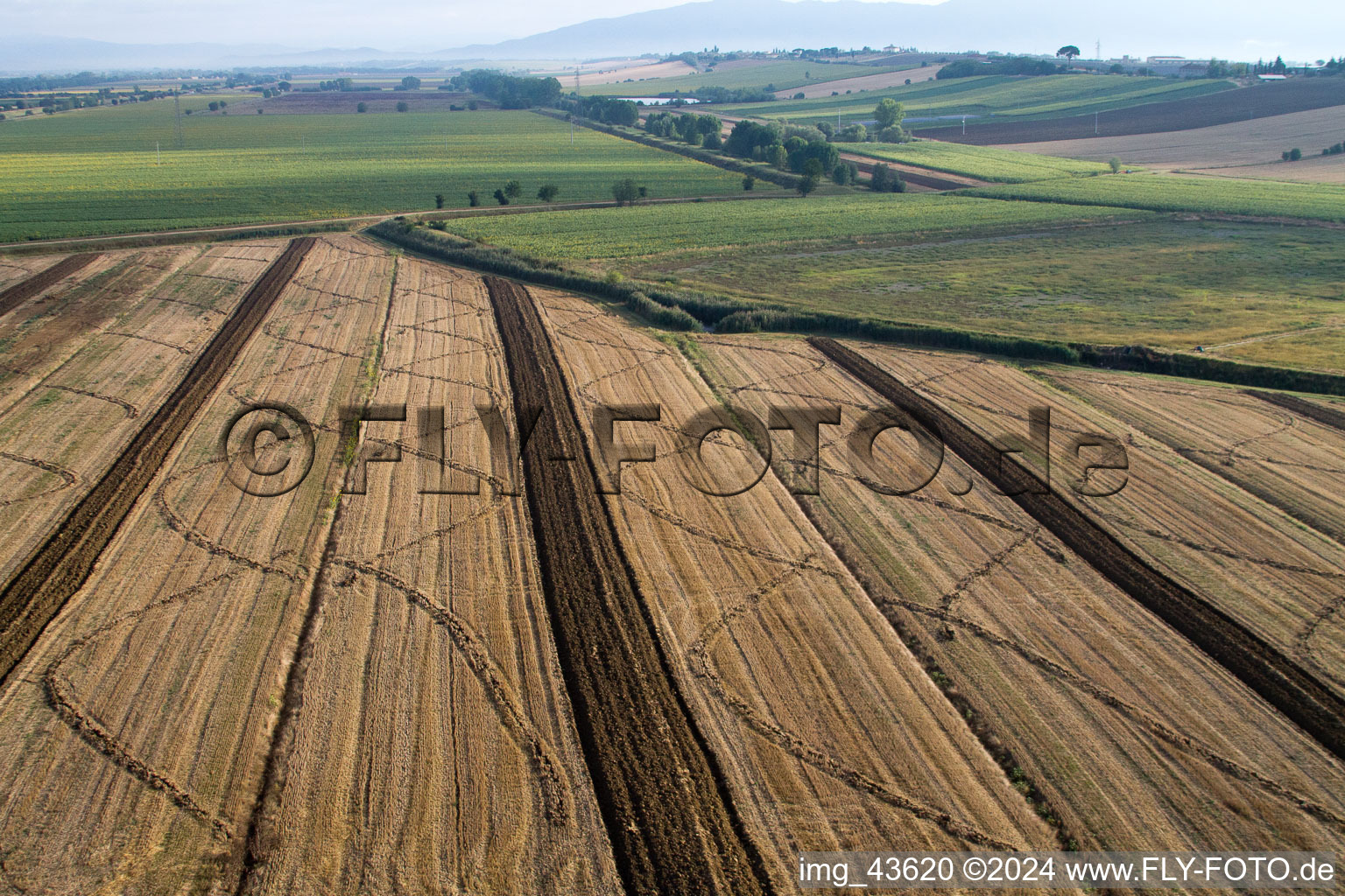 Aerial view of Field structures of a harvested grain field in Anatraia in Toscana, Italy