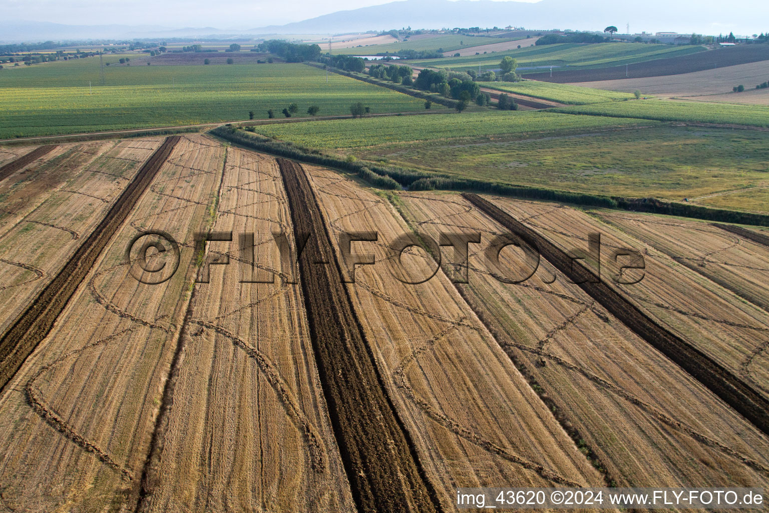 Aerial view of Harvested grain field structures Landscape on a grain field in Anatraia in Castiglion Fiorentino in the state Arezzo, Italy