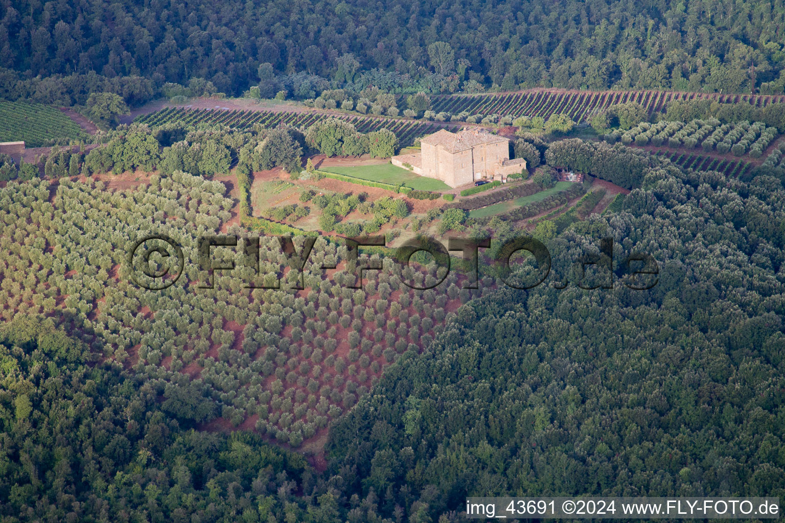 Montalcino in the state Siena, Italy from above