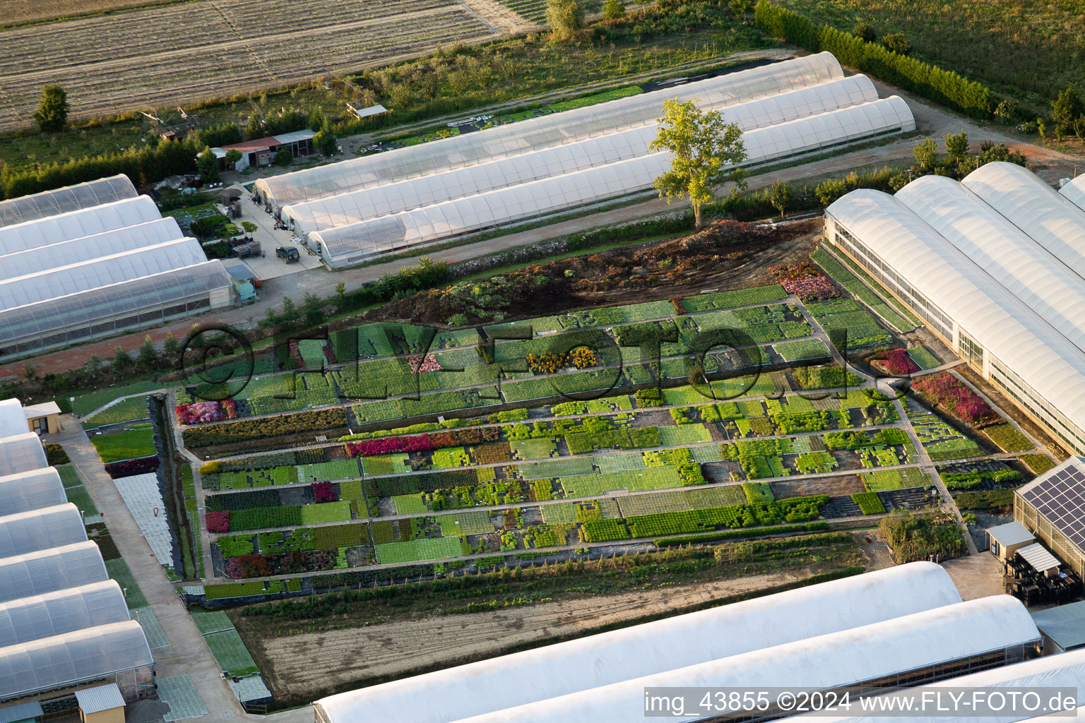 Aerial view of Floriculture in Bigguro in Toscana, Italy