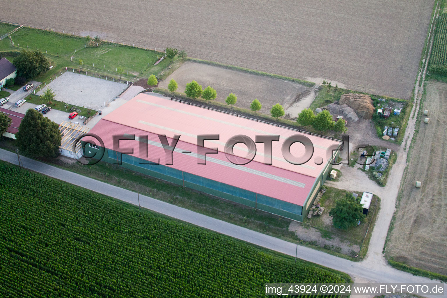 Foal yard in Steinweiler in the state Rhineland-Palatinate, Germany seen from above