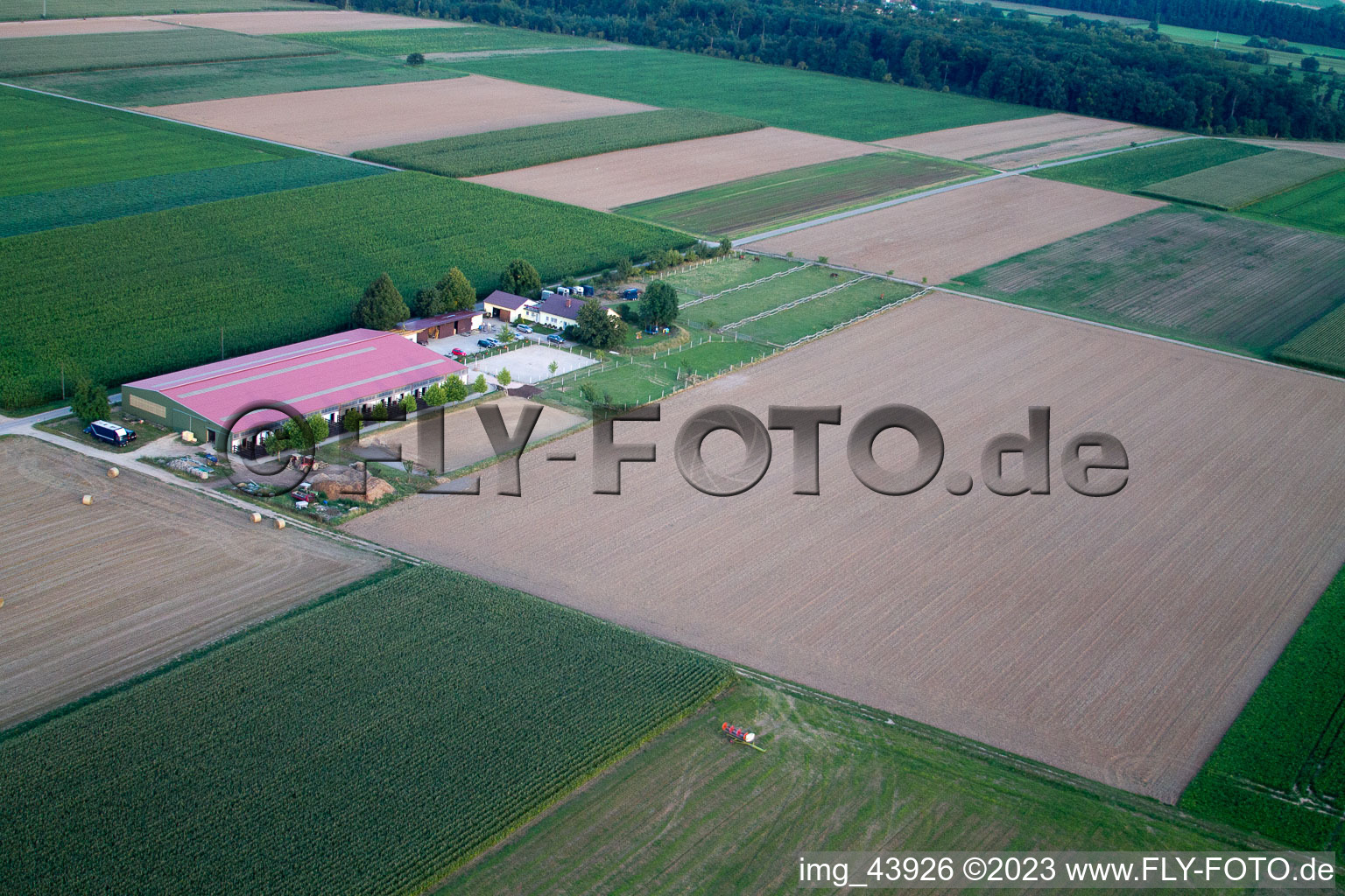 Bird's eye view of Foal yard in Steinweiler in the state Rhineland-Palatinate, Germany