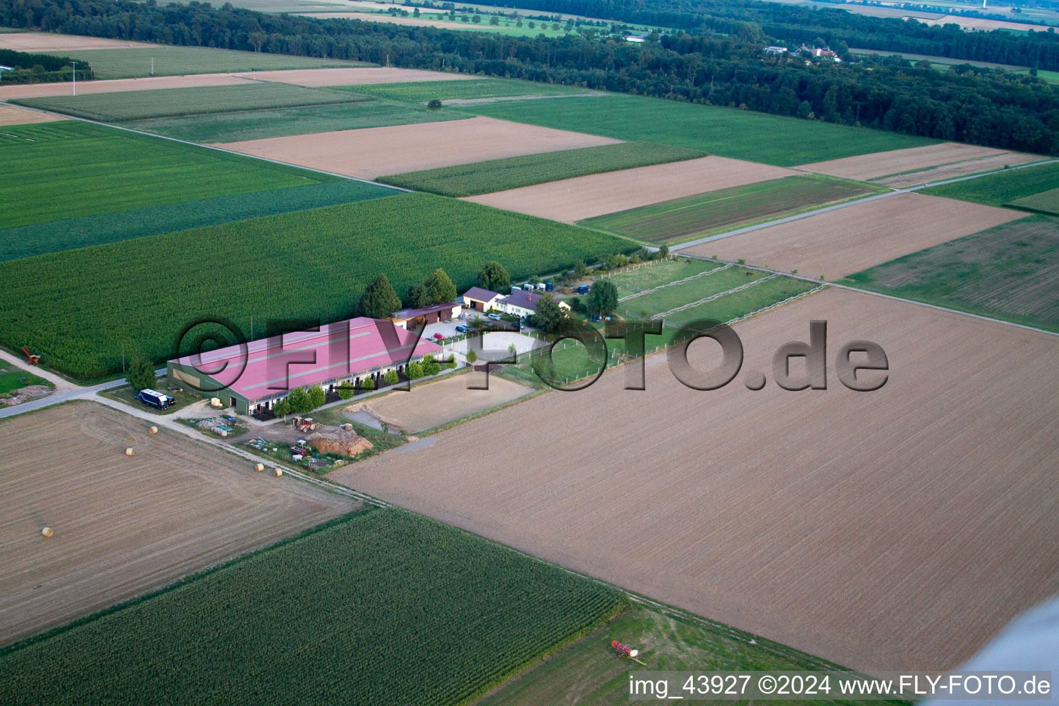 Foal farm in Steinweiler in the state Rhineland-Palatinate, Germany viewn from the air