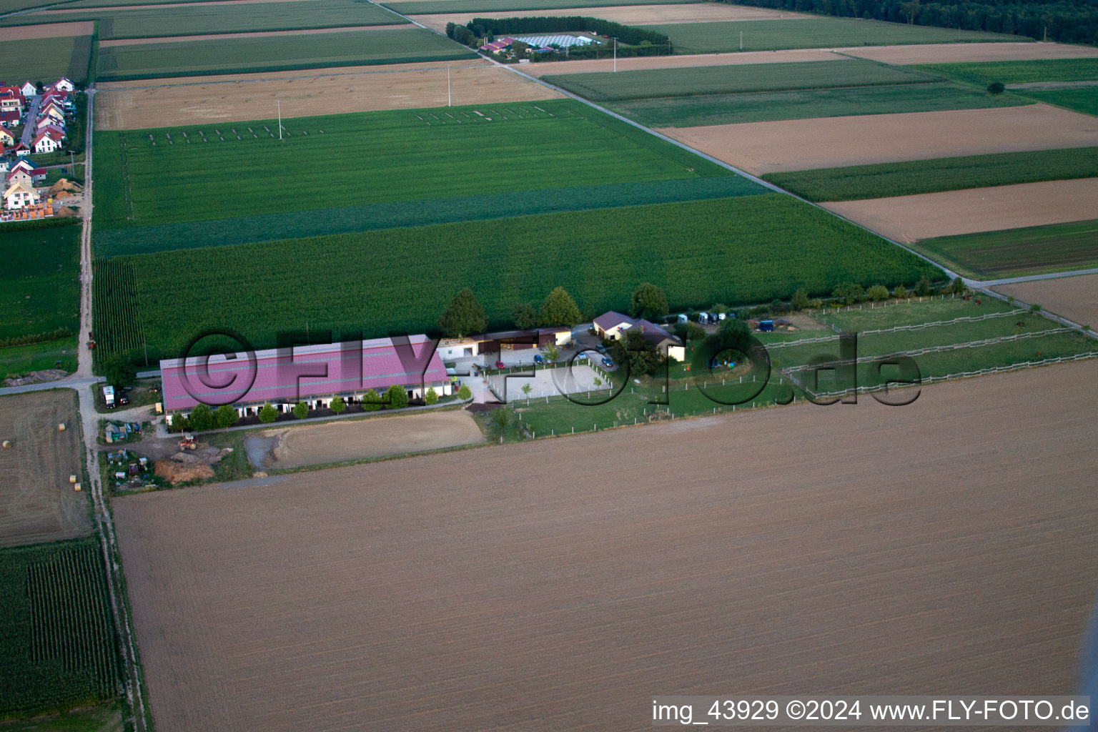 Drone image of Foal farm in Steinweiler in the state Rhineland-Palatinate, Germany