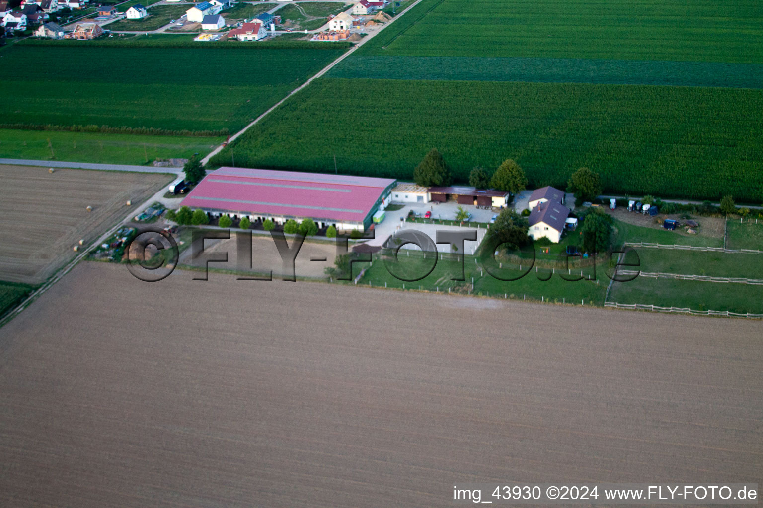 Foal farm in Steinweiler in the state Rhineland-Palatinate, Germany from the drone perspective