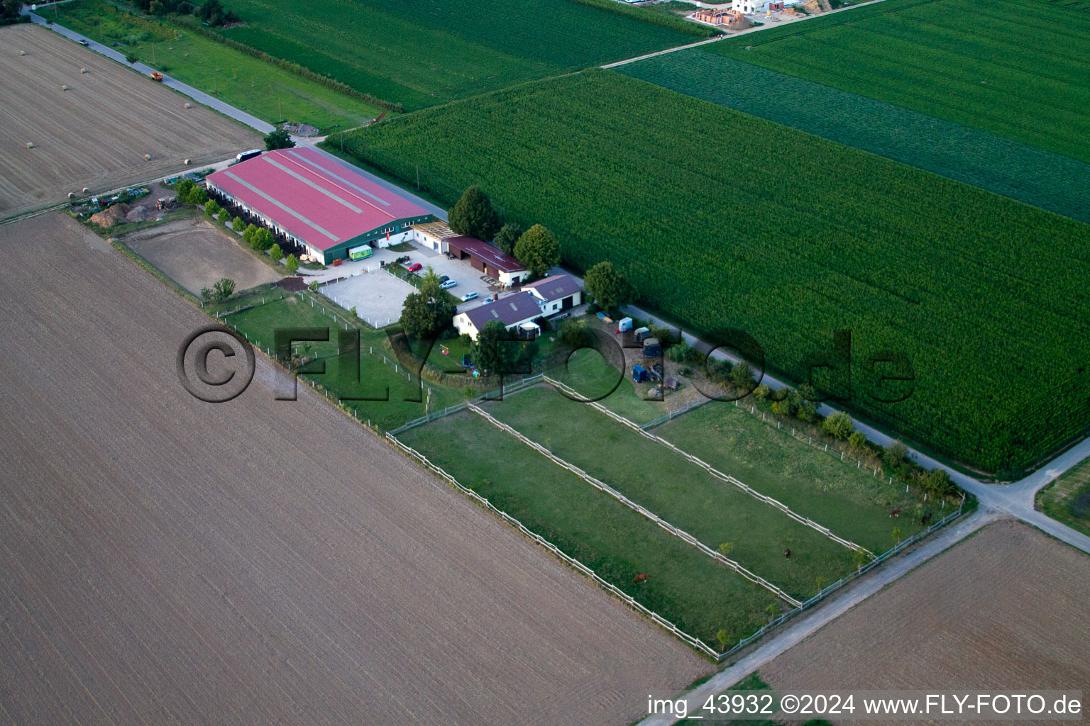 Foal farm in Steinweiler in the state Rhineland-Palatinate, Germany seen from a drone