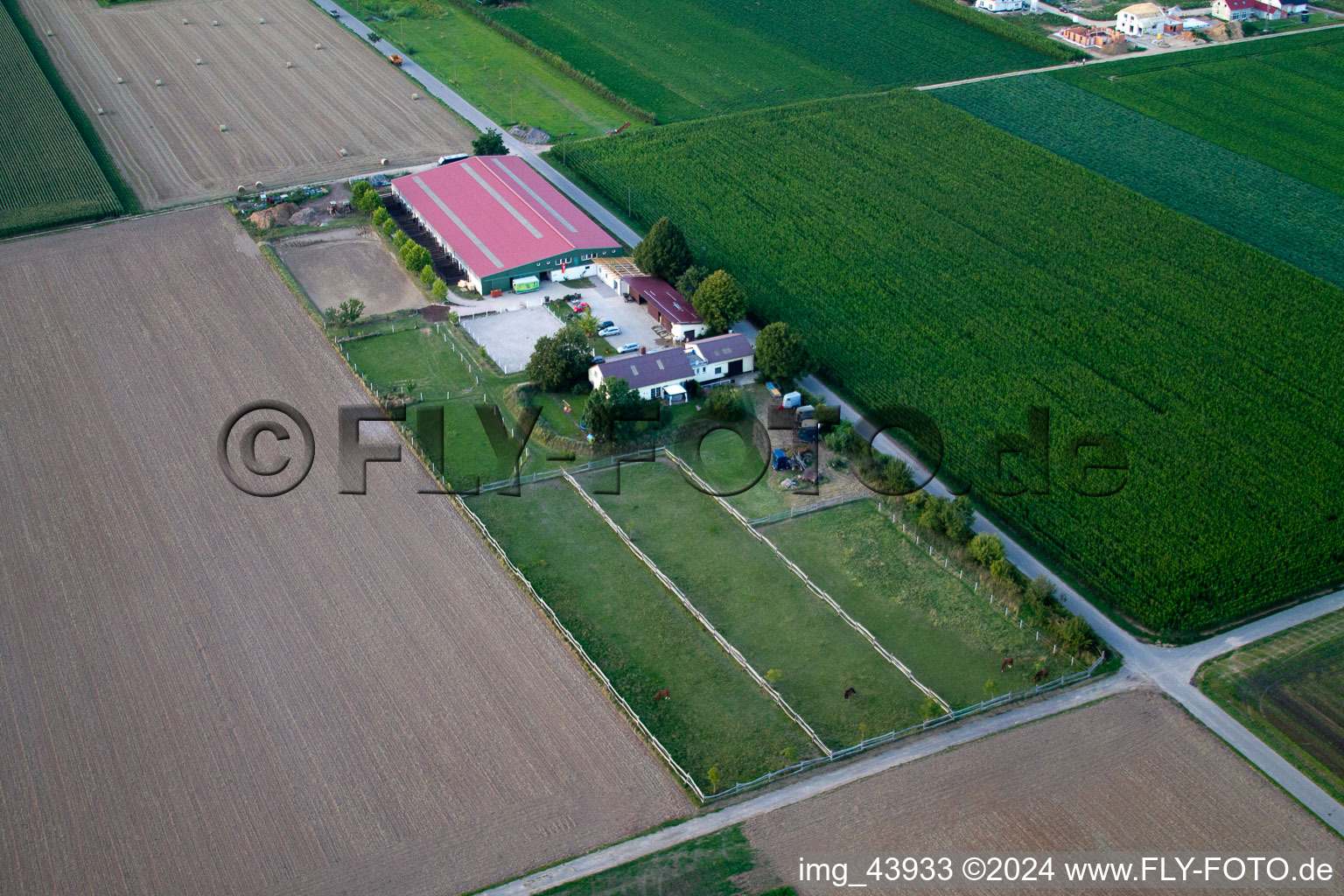 Aerial view of Foal farm in Steinweiler in the state Rhineland-Palatinate, Germany