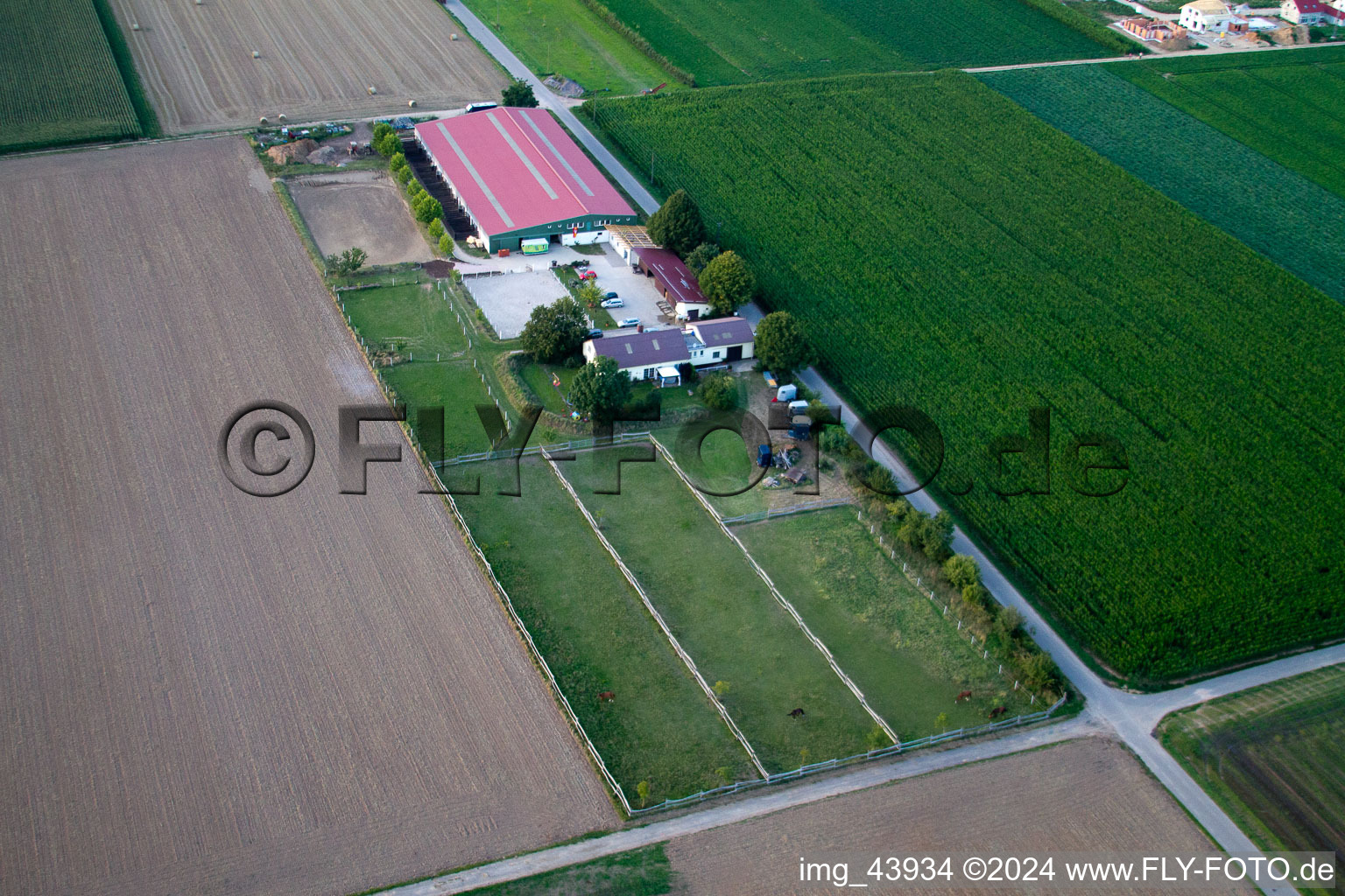 Aerial photograpy of Foal farm in Steinweiler in the state Rhineland-Palatinate, Germany