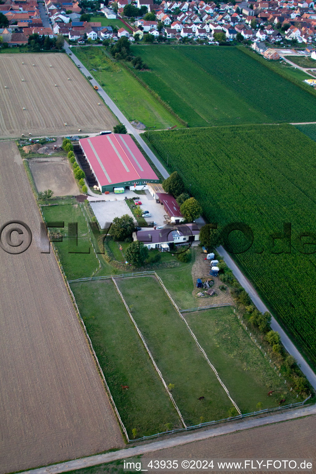 Oblique view of Foal farm in Steinweiler in the state Rhineland-Palatinate, Germany