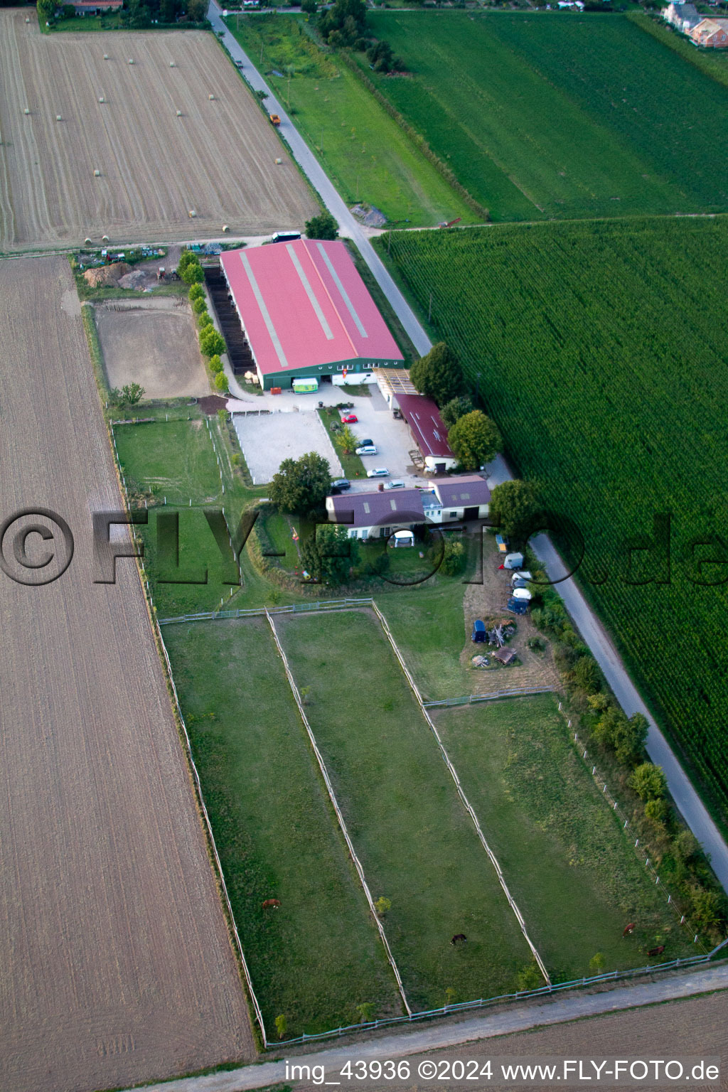 Foal farm in Steinweiler in the state Rhineland-Palatinate, Germany from above