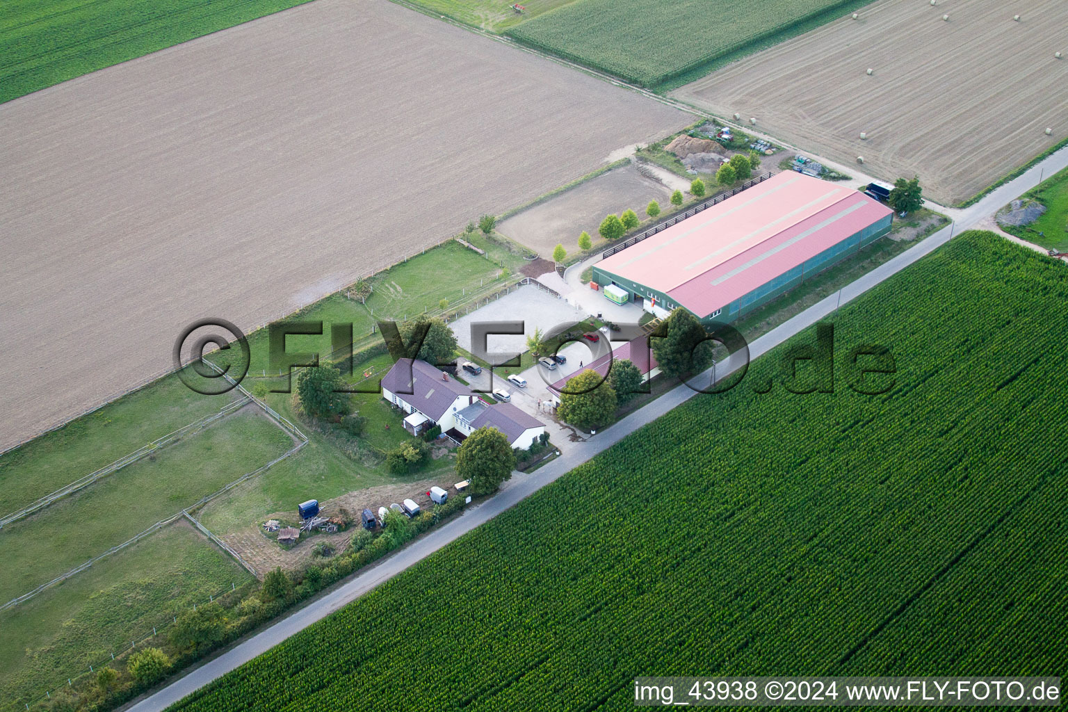 Foal farm in Steinweiler in the state Rhineland-Palatinate, Germany out of the air