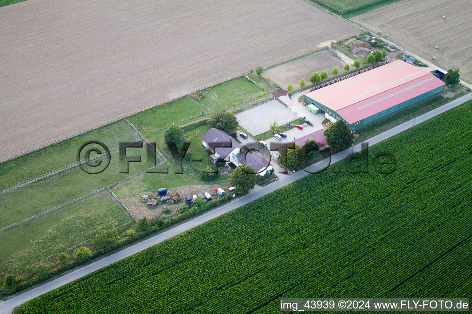 Foal farm in Steinweiler in the state Rhineland-Palatinate, Germany seen from above