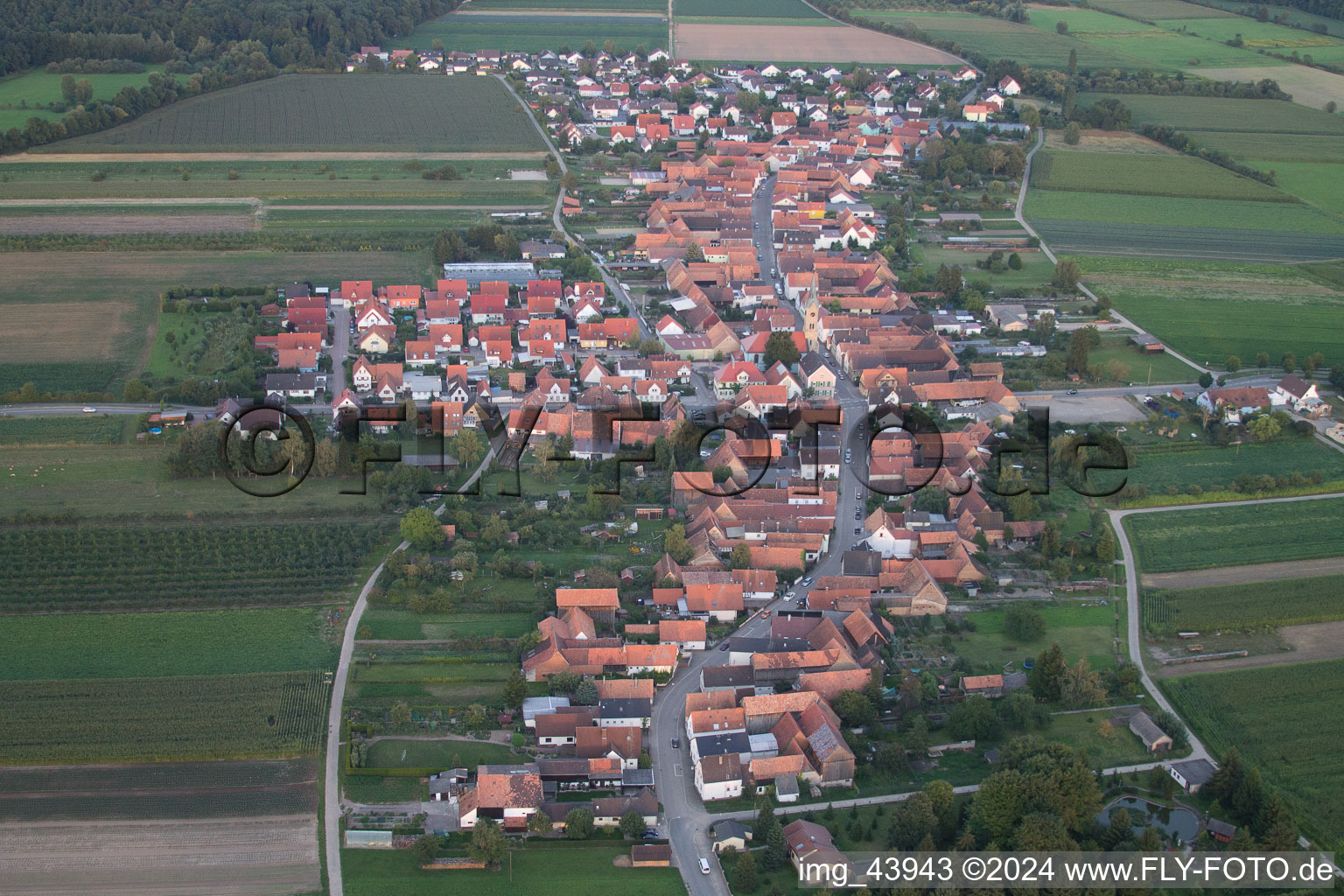 Erlenbach bei Kandel in the state Rhineland-Palatinate, Germany seen from above