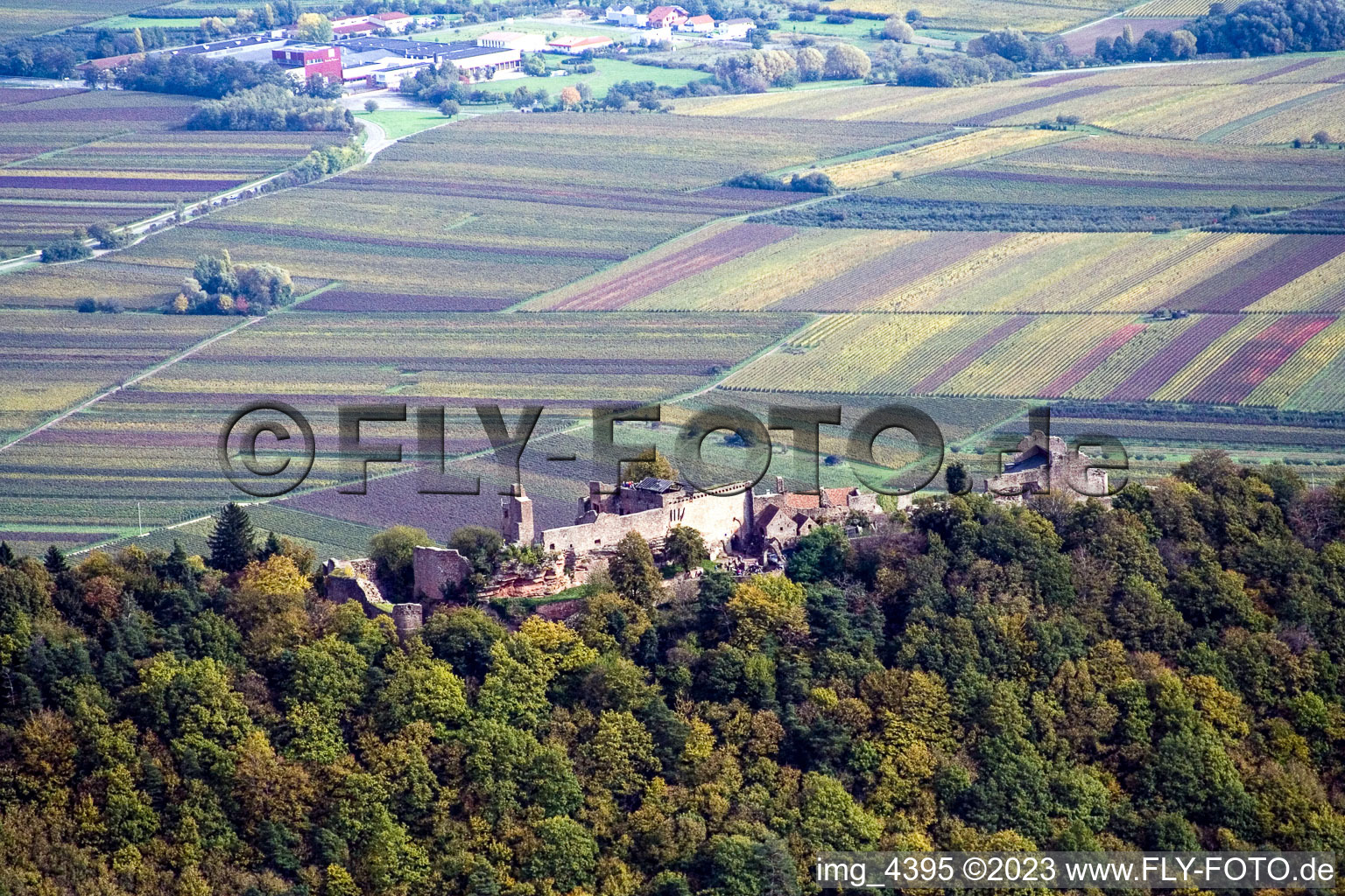 Madenburg from the west in Eschbach in the state Rhineland-Palatinate, Germany