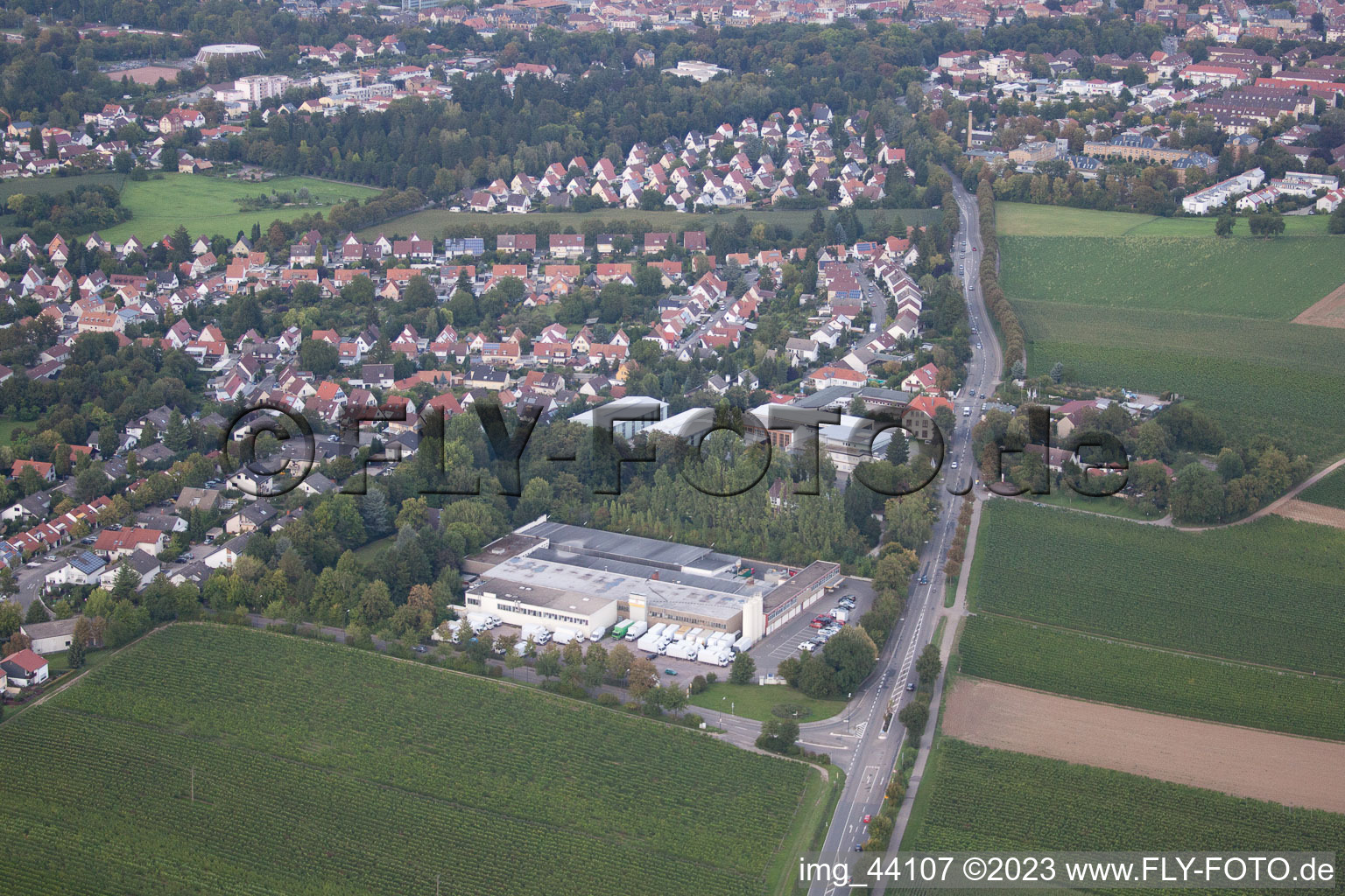 Drone image of Landau in der Pfalz in the state Rhineland-Palatinate, Germany