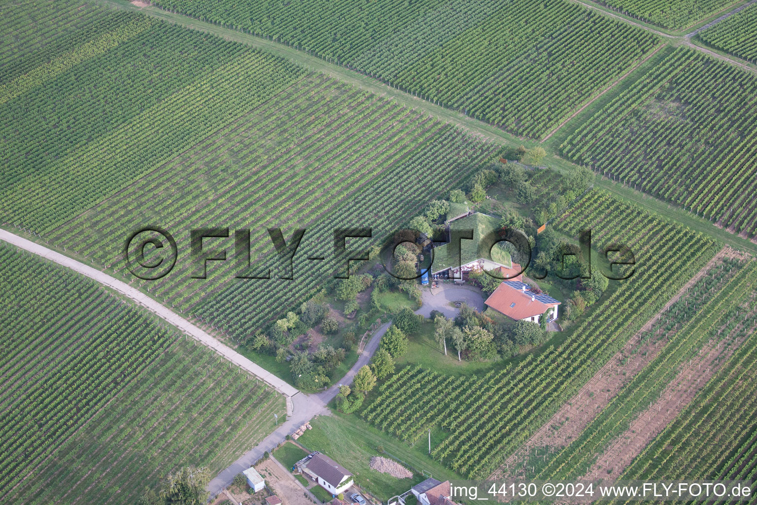 Drone image of District Wollmesheim in Landau in der Pfalz in the state Rhineland-Palatinate, Germany