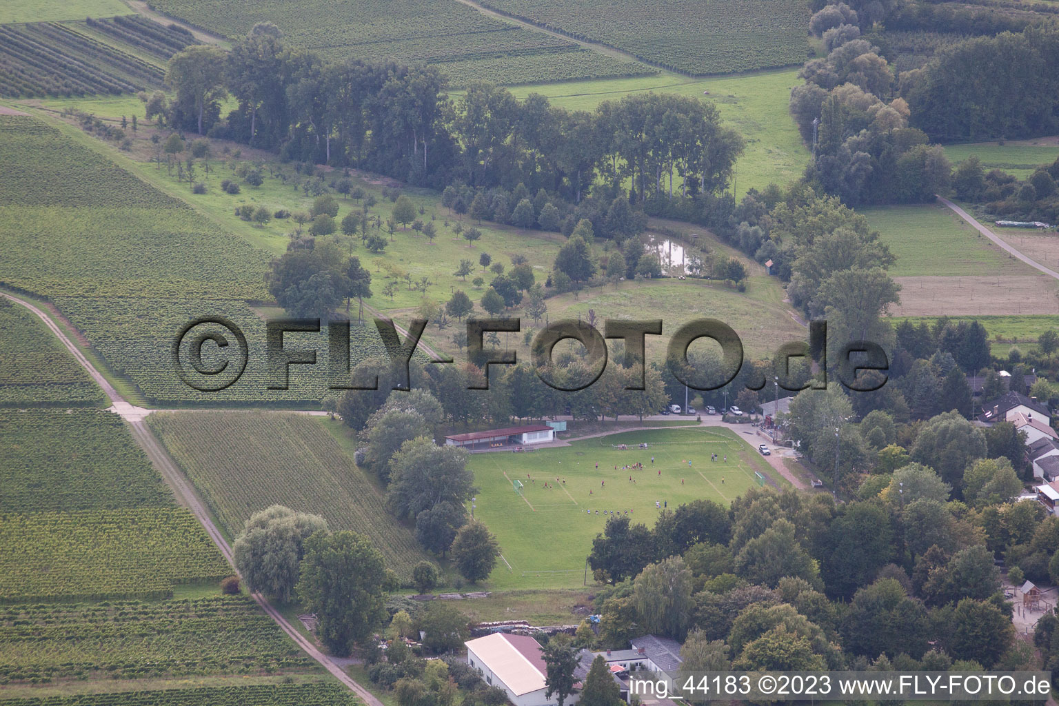 District Wollmesheim in Landau in der Pfalz in the state Rhineland-Palatinate, Germany from the drone perspective