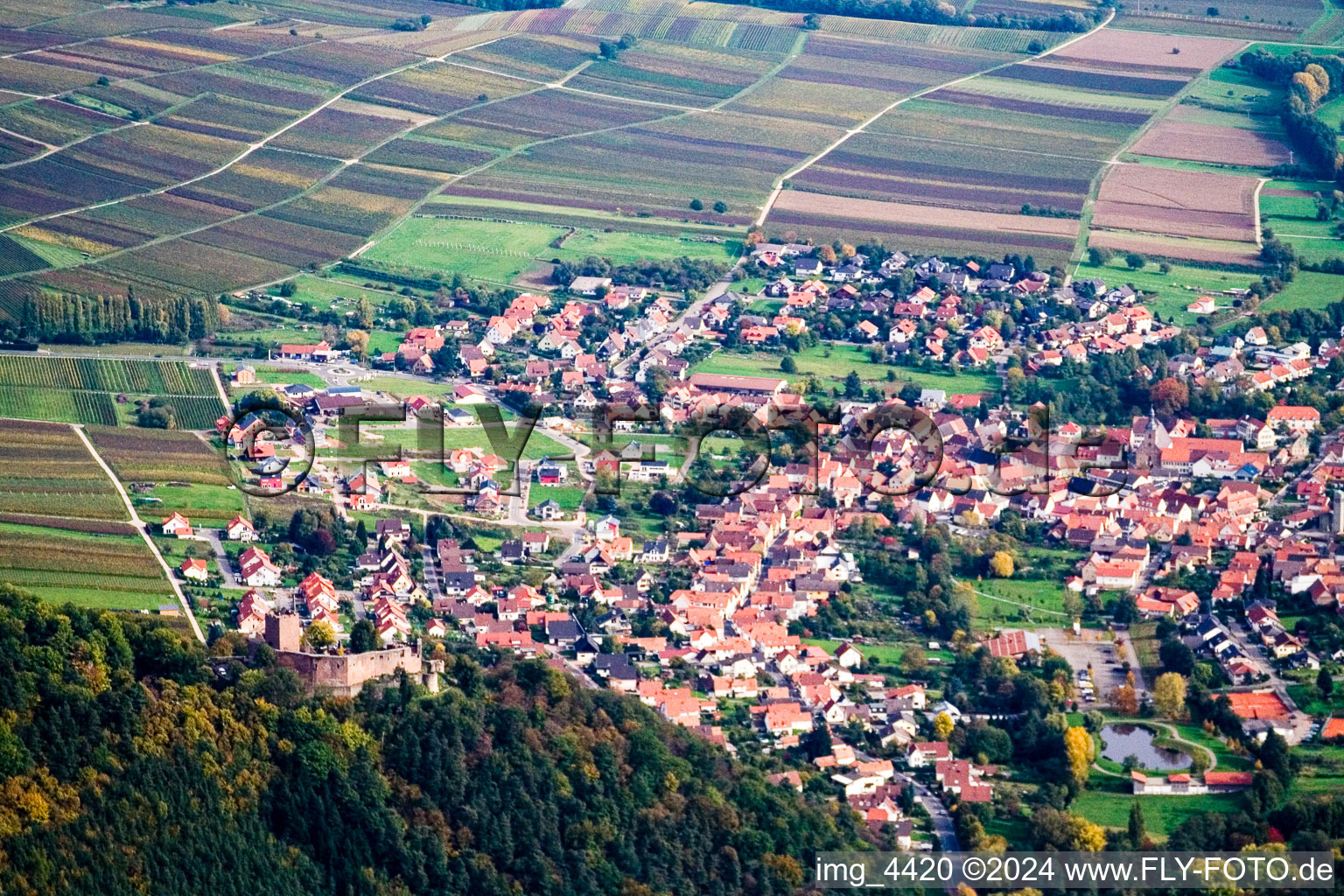 From the west in Klingenmünster in the state Rhineland-Palatinate, Germany