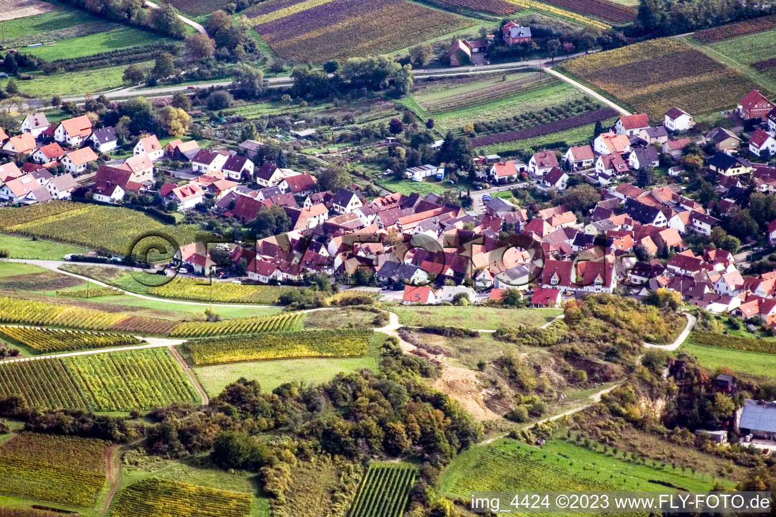 Aerial view of Gleishohrbach in the district Gleiszellen in Gleiszellen-Gleishorbach in the state Rhineland-Palatinate, Germany