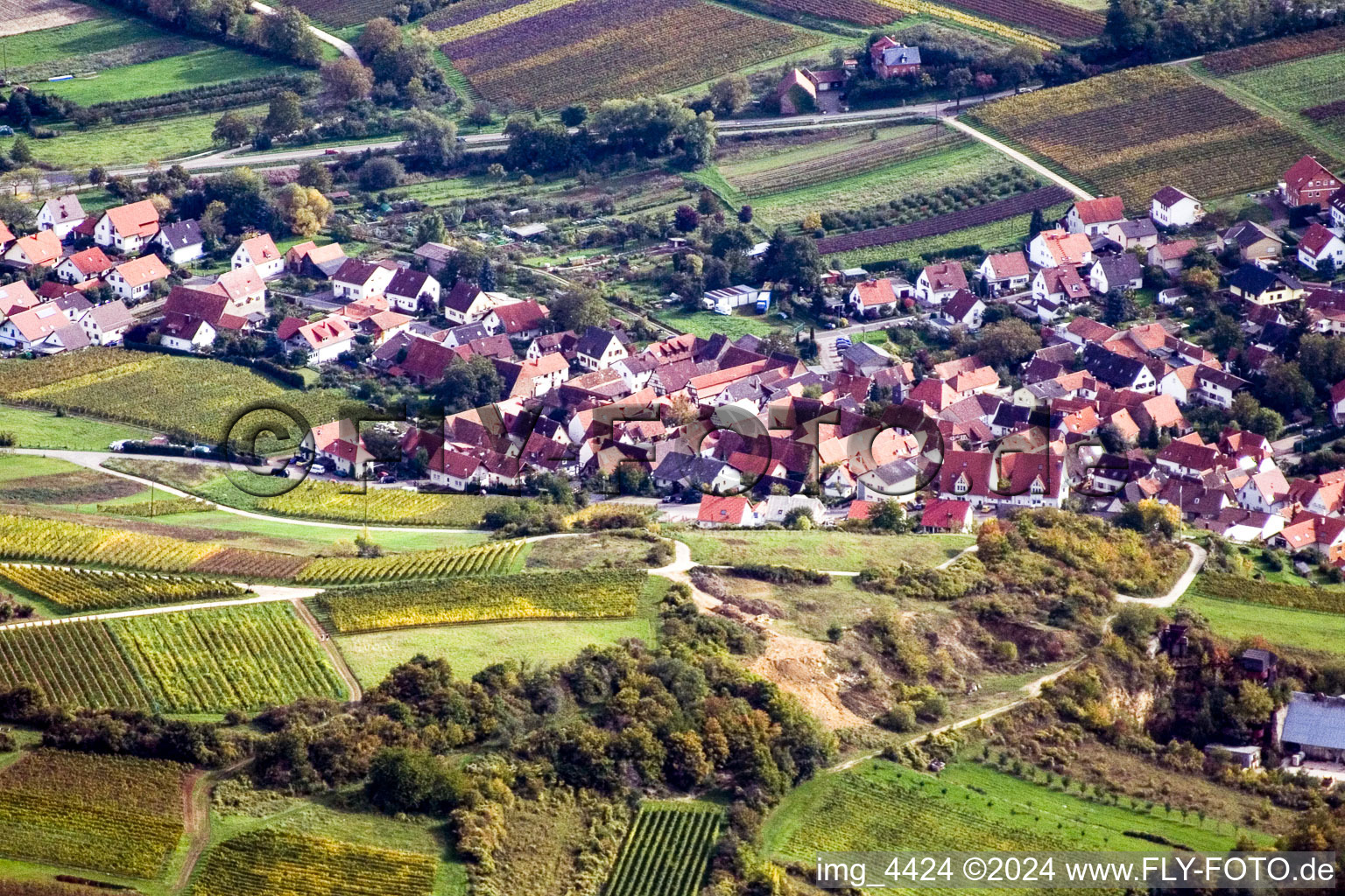 Aerial view of Gleishohrbach in the district Gleiszellen in Gleiszellen-Gleishorbach in the state Rhineland-Palatinate, Germany