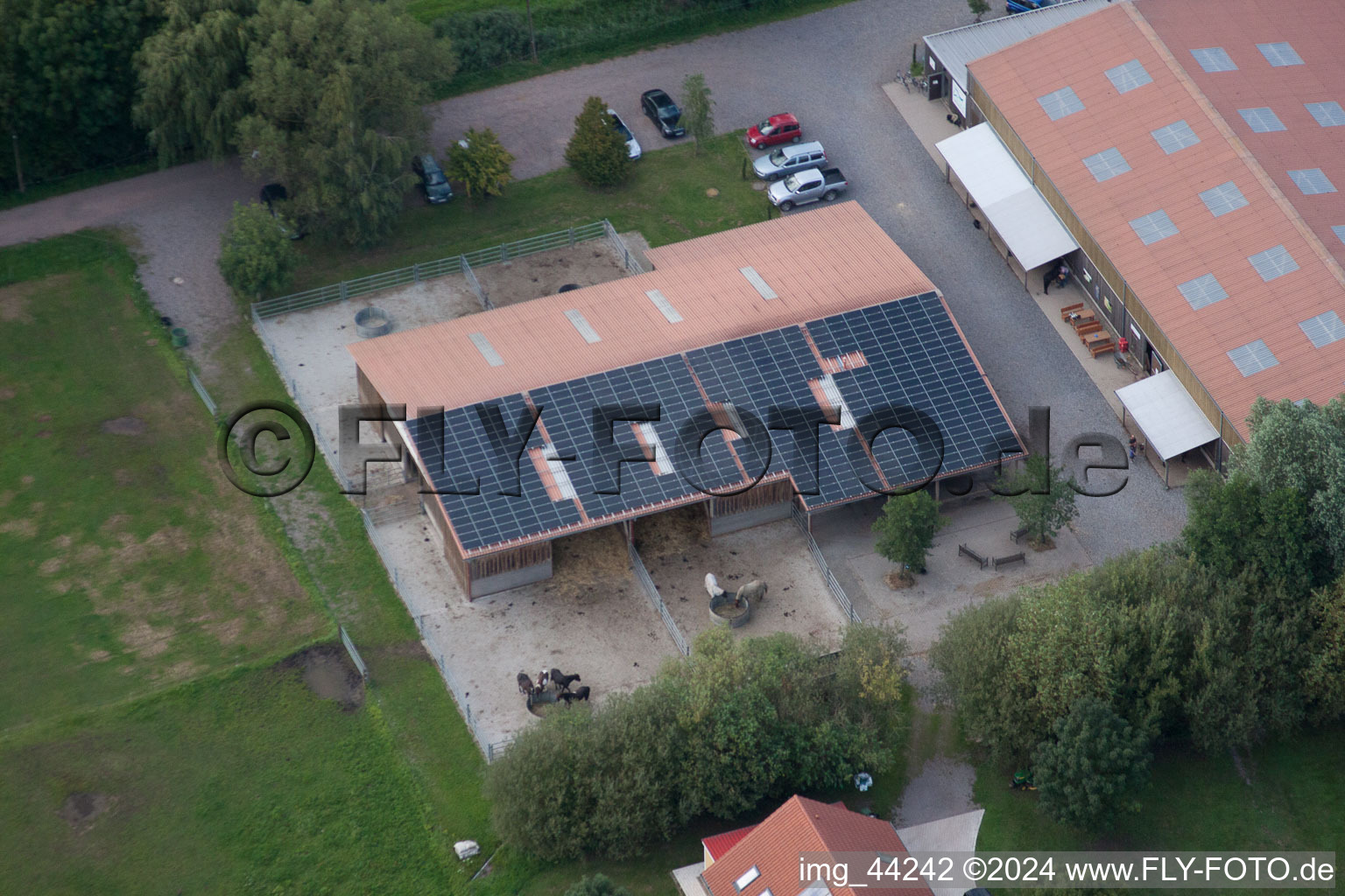 Freckenfeld in the state Rhineland-Palatinate, Germany viewn from the air