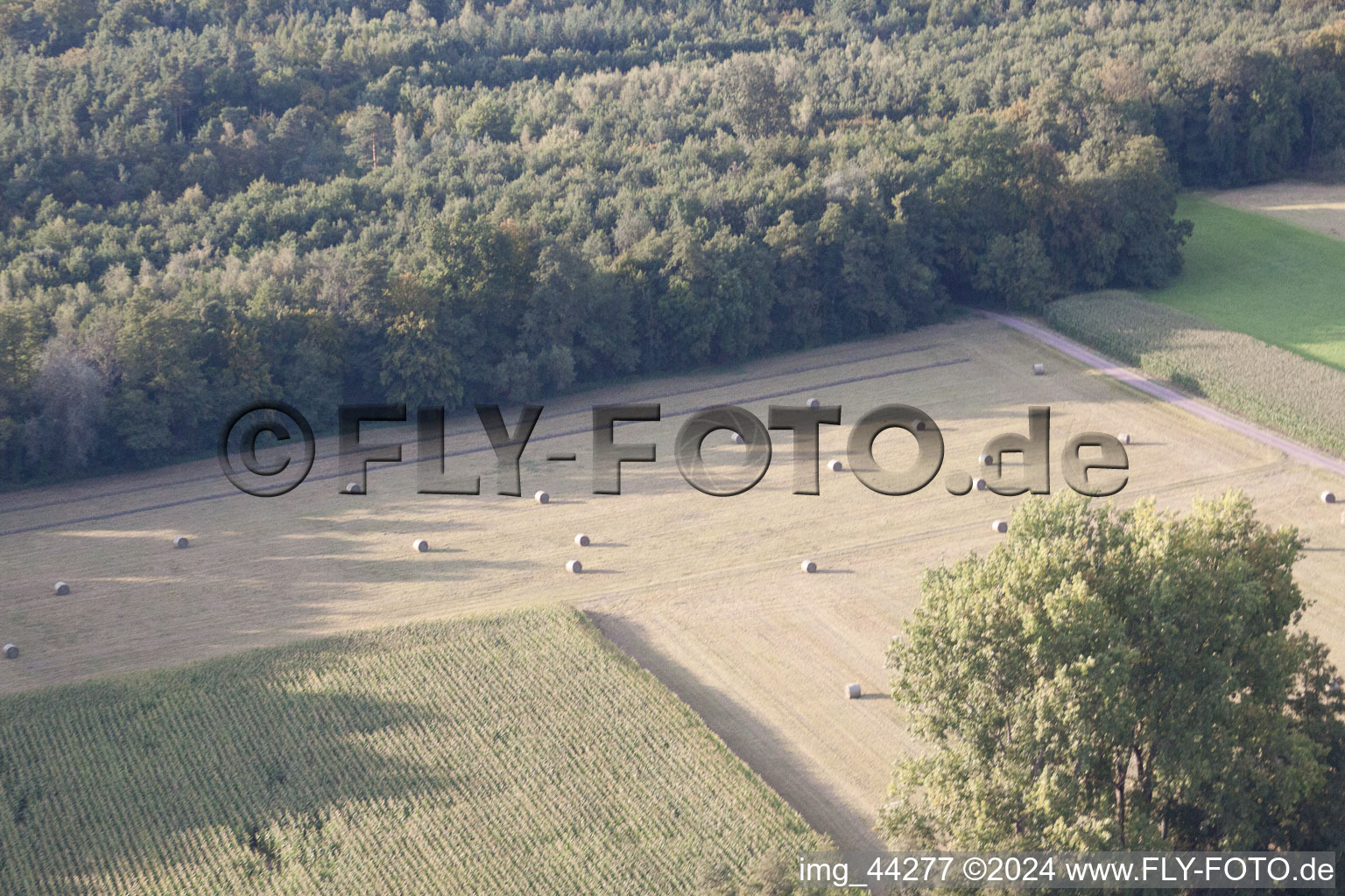 Drone recording of Kandel in the state Rhineland-Palatinate, Germany