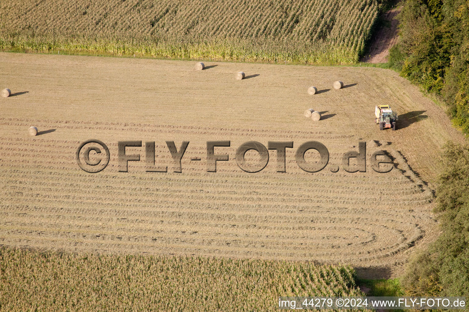 Kandel in the state Rhineland-Palatinate, Germany from the drone perspective