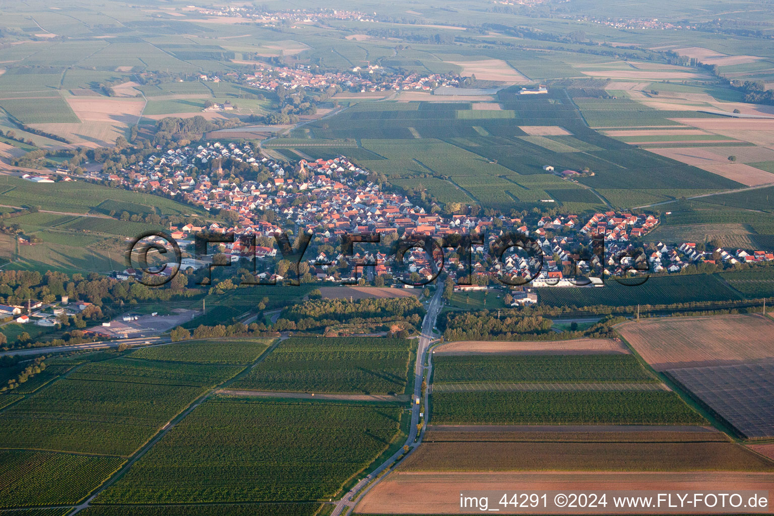 Insheim in the state Rhineland-Palatinate, Germany from a drone