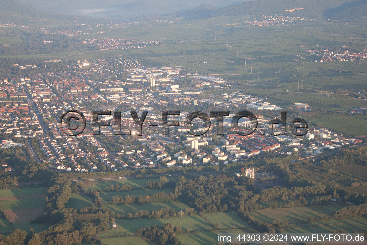 Landau in der Pfalz in the state Rhineland-Palatinate, Germany from a drone