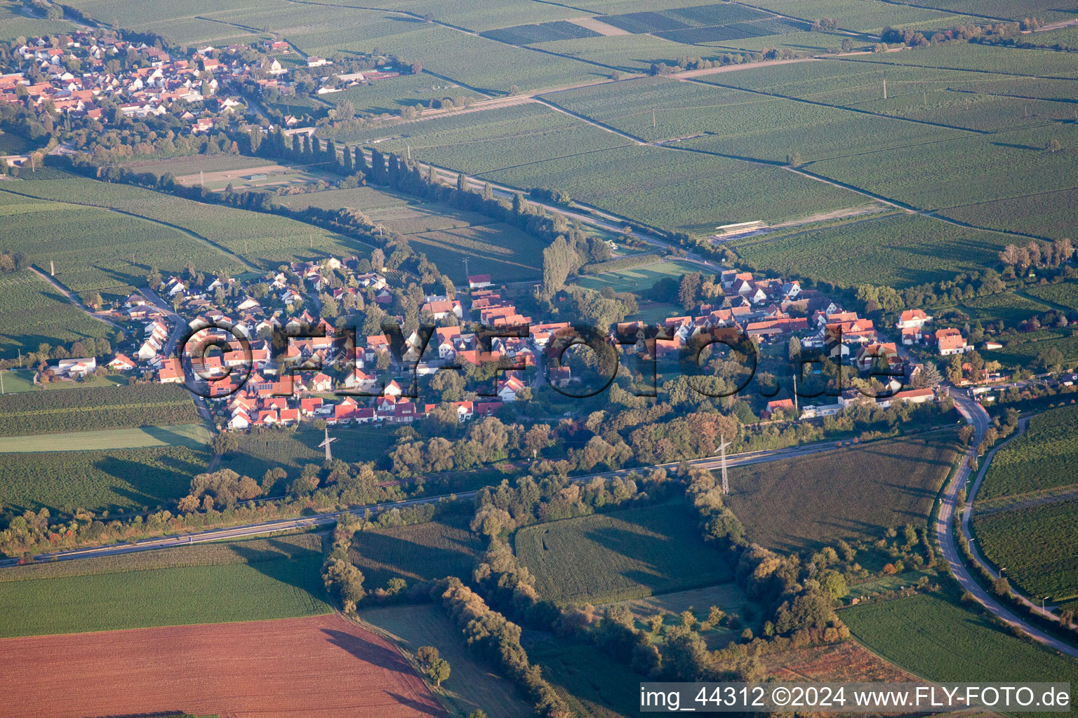 Bird's eye view of Essingen in the state Rhineland-Palatinate, Germany