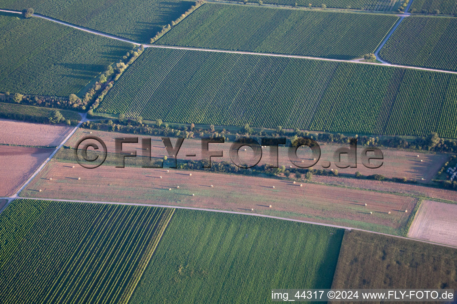 Bird's eye view of Essingen in the state Rhineland-Palatinate, Germany