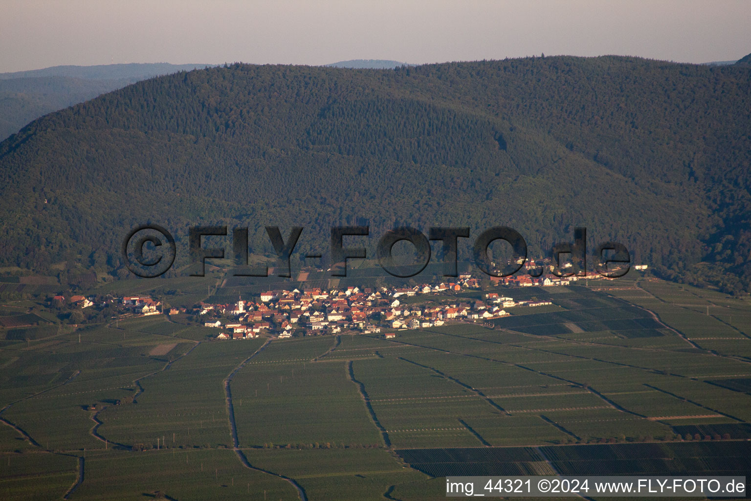 Edesheim in the state Rhineland-Palatinate, Germany from a drone