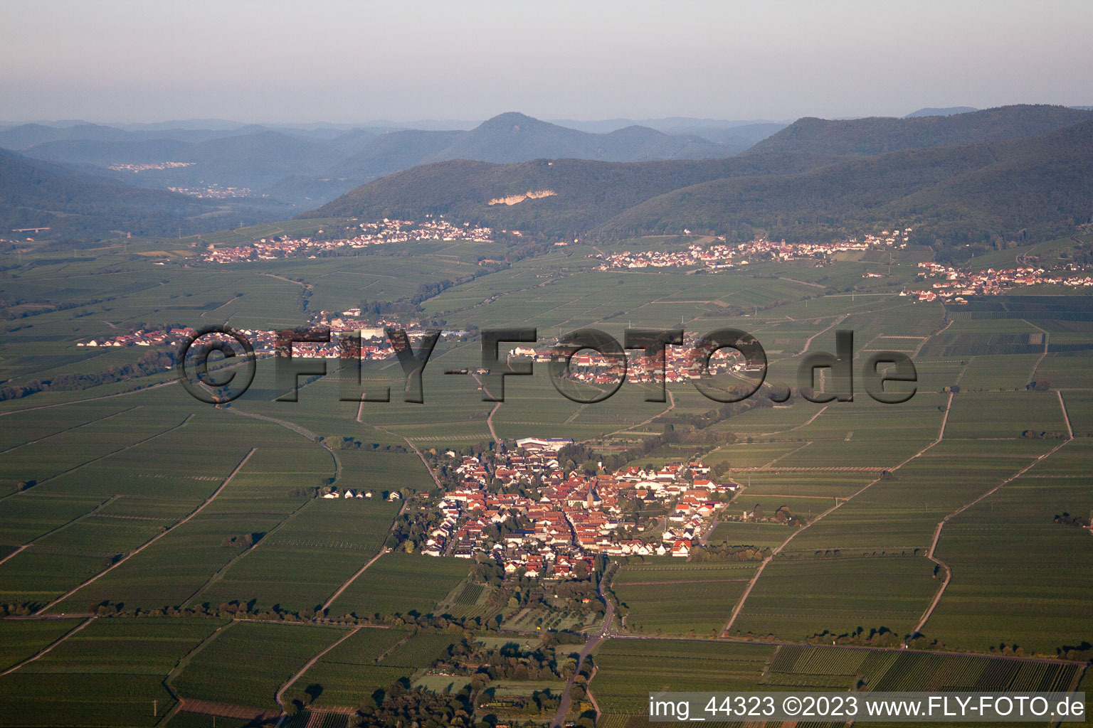 Aerial view of Edesheim in the state Rhineland-Palatinate, Germany