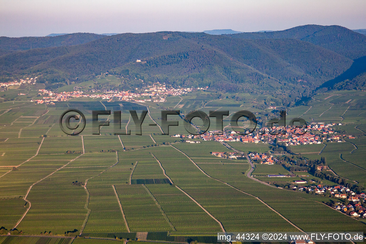 Burrweiler in Hainfeld in the state Rhineland-Palatinate, Germany