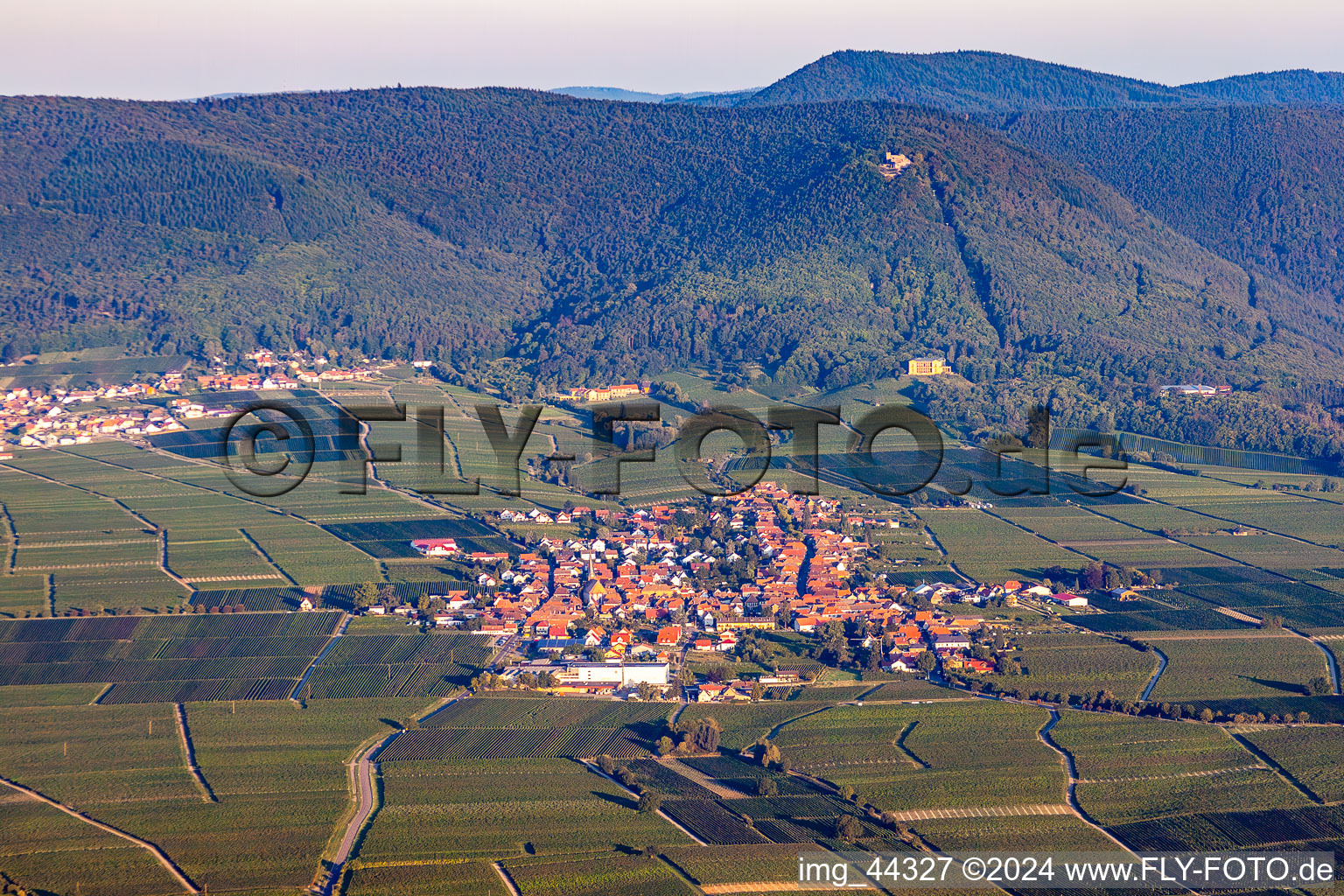 Rhodt unter Rietburg in the state Rhineland-Palatinate, Germany seen from a drone