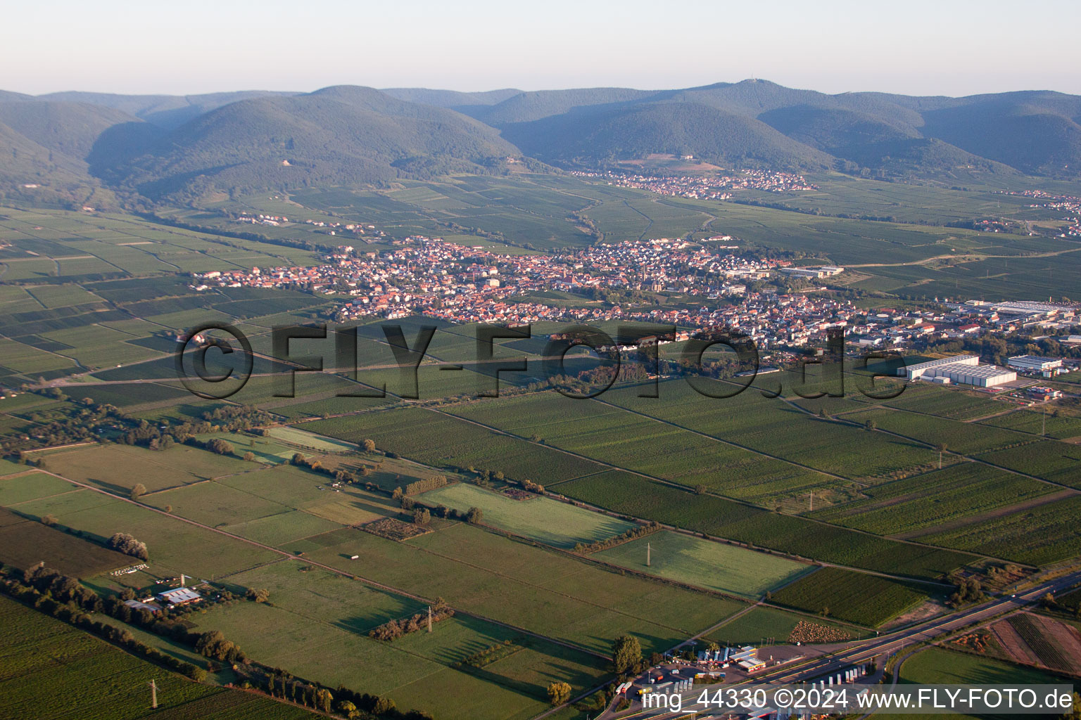 Drone recording of Edenkoben in the state Rhineland-Palatinate, Germany