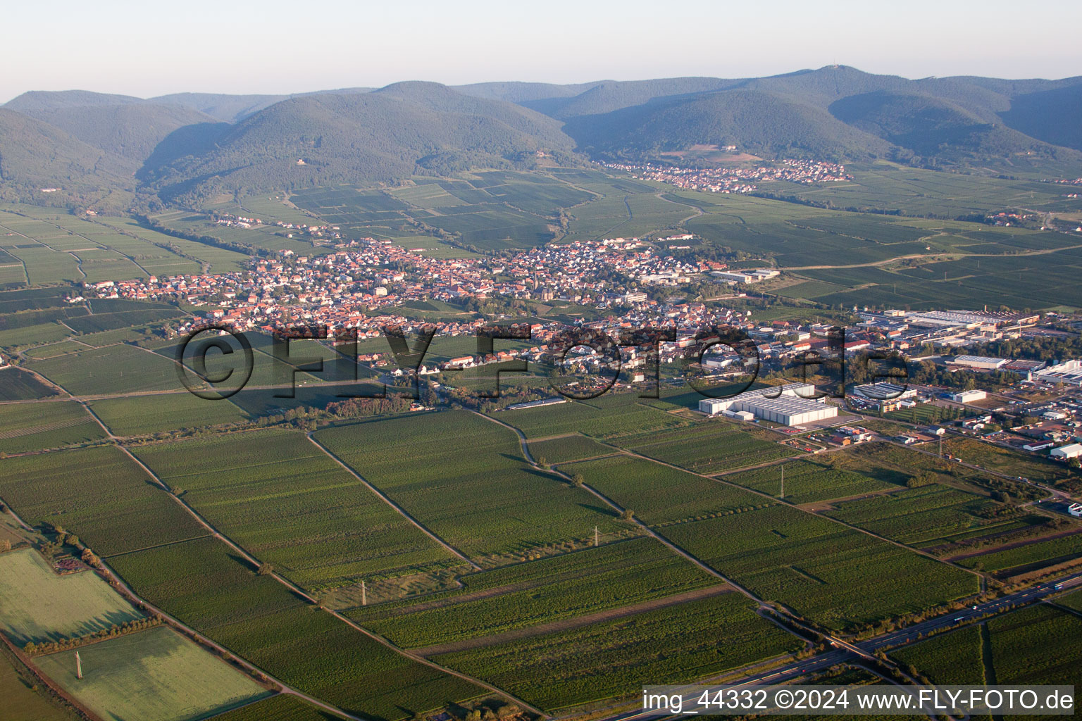 Edenkoben in the state Rhineland-Palatinate, Germany from the drone perspective