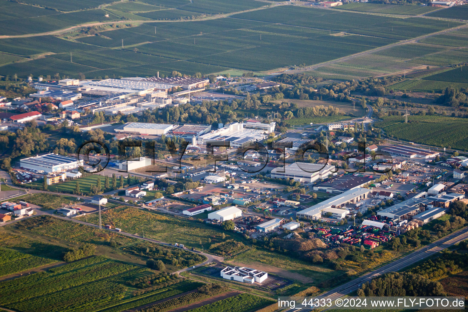 Edenkoben in the state Rhineland-Palatinate, Germany from a drone