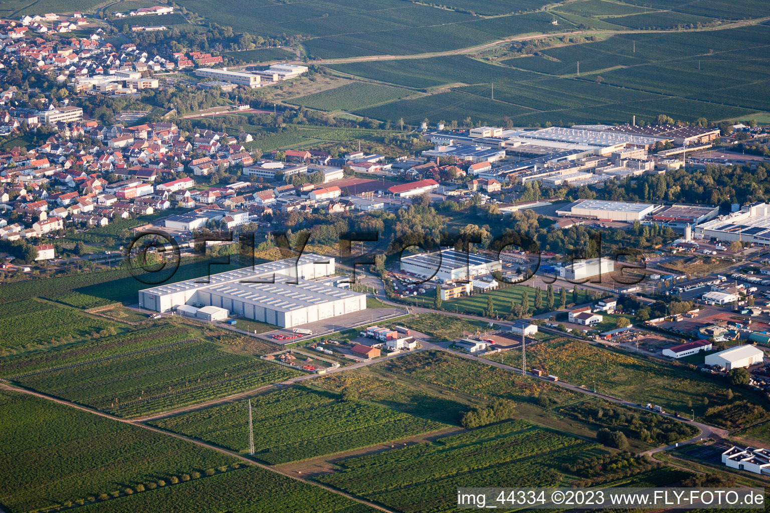 Edenkoben in the state Rhineland-Palatinate, Germany seen from a drone