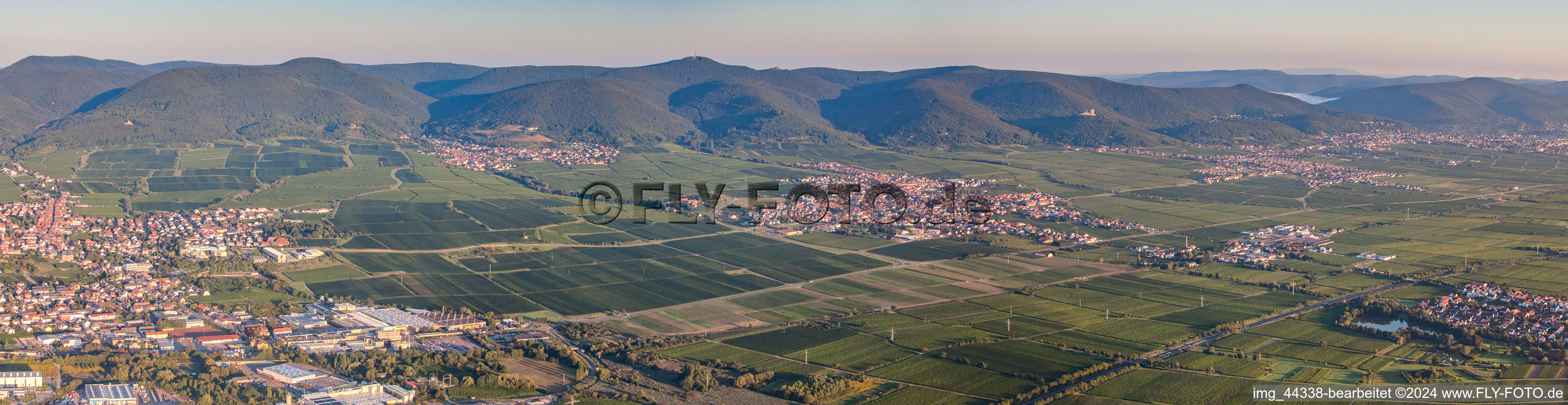 Panorama perspective Fields of wine cultivation landscape in Maikammer in the state Rhineland-Palatinate