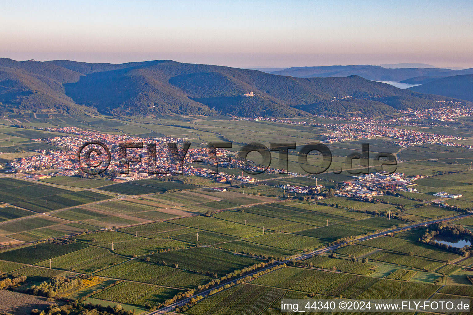 Village - view on the edge of wine yards in Maikammer in the state Rhineland-Palatinate